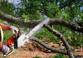 Leaf Removal in Quincy, MA